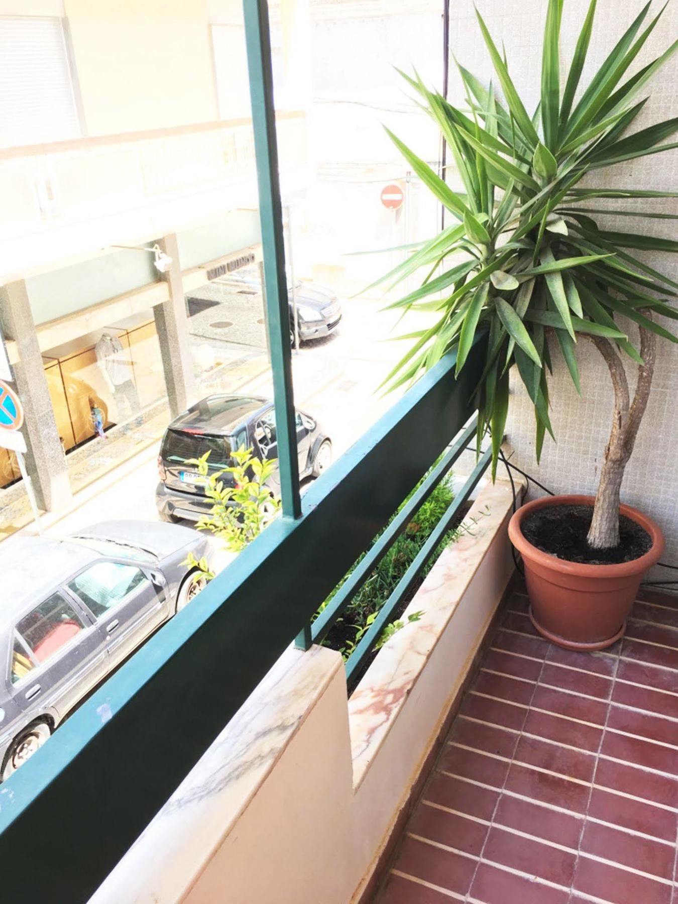 Apartamento Lemon Tree *